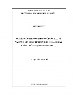 Nghiên cứu phương pháp nuôi cấy tạo rễ và đánh giá hoạt tính sinh học của rễ cây chôm chôm (Nephelium lappaceum L.)