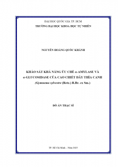 Khảo sát khả năng ức chế α-amylase và α-glucosidase của cao chiết dây thìa canh (Gymnema sylvestre (Retz.) R.Br. ex Sm.)