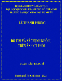 Dò tìm và xác định khối u trên ảnh CT phổi