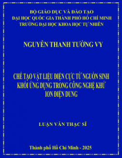 Chế tạo vật liệu điện cực từ nguồn sinh khối ứng dụng trong công nghệ khử ion điện dung (CDI)