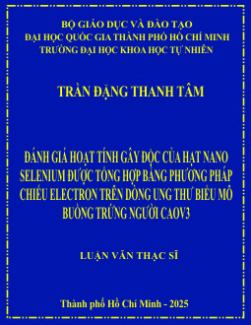 Đánh giá hoạt tính gây độc của hạt nano selenium được tổng hợp bằng phương pháp chiếu electron trên dòng tế bào ung thư biểu mô buồng trứng người Caov3