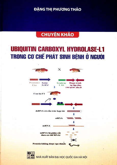 Chuyên khảo: Ubiquitin carboxyl hydrolase-L1 trong cơ chế phát sinh bệnh ở người