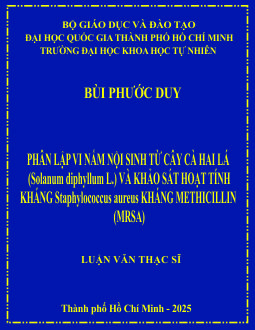 Phân lập vi nấm nội sinh từ cây Cà hai lá (Solanum diphyllum L.) và khảo sát hoạt tính kháng Staphylococcus aureus kháng methicillin (MRSA)